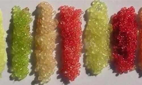 Chanh ngón tay và những điều cần biết