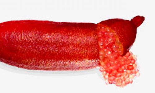 Giá trị dinh dưỡng độc nhất chỉ có trong chanh Red Champagne mà chanh thường không có